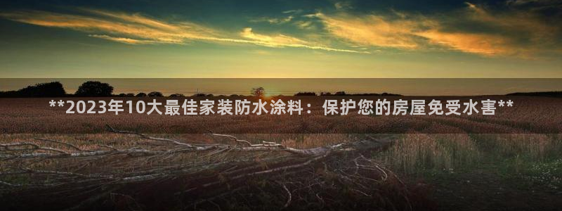 和记国际：**2023年10大最佳家装防水涂料：保护您的房屋免受水害**