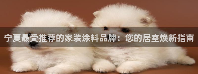 和记ag旗舰：宁夏最受推荐的家装涂料品牌：您的居室焕新指南