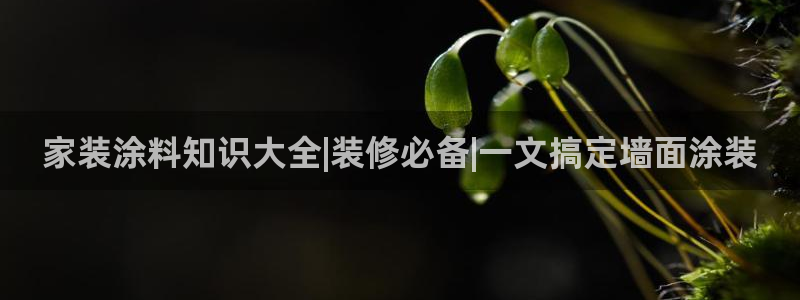 和记国际客服：家装涂料知识大全|装修必备|一文搞定墙面涂装