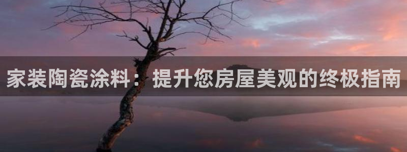 和记官网登录：家装陶瓷涂料：提升您房屋美观的终极指南