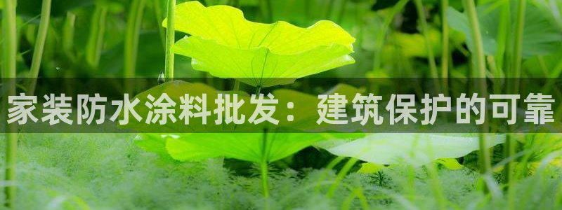 和记登陆：家装防水涂料批发：建筑保护的可靠