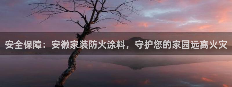 和记 首页：安全保障：安徽家装防火涂料，守护您的家园远离火灾