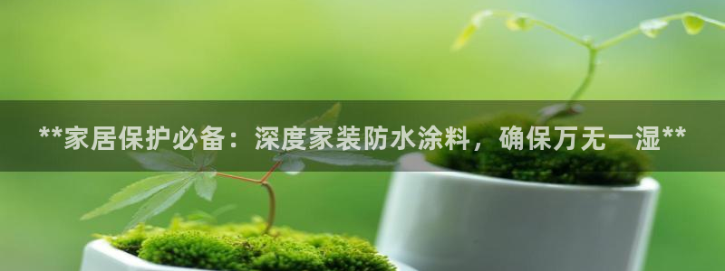 和记官方直营注册导航：**家居保护必备：深度家装防水涂料，确保万无一湿**