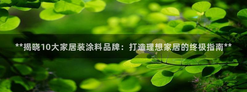 和记国际开户网站：**揭晓10大家居装涂料品牌：打造理想家居的终极指南**