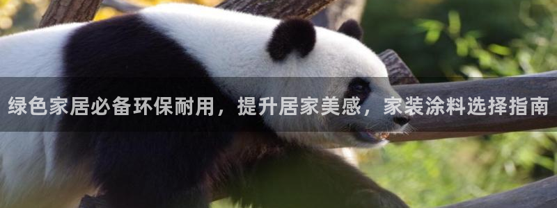 和记官方网站：绿色家居必备环保耐用，提升居家美感，家装涂料选择指南