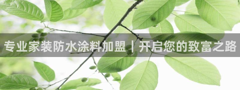 和记hj