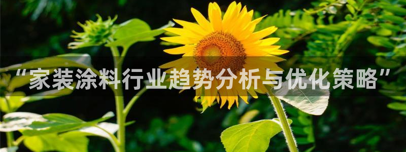 和记广告女主角：“家装涂料行业趋势分析与优化策略”