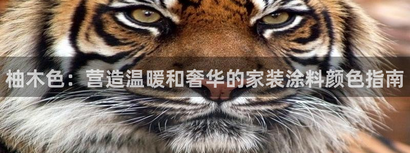 和记ag：柚木色：营造温暖和奢华的家装涂料颜色指南
