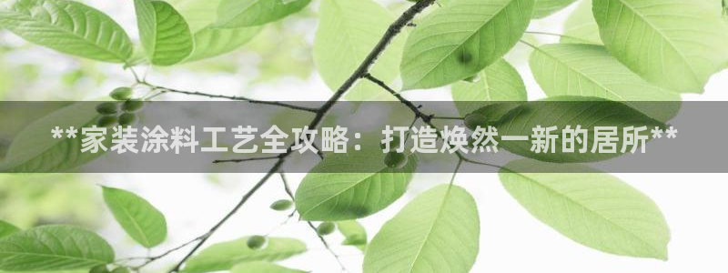 和记paging：**家装涂料工艺全攻略：打造焕然一新的居所**