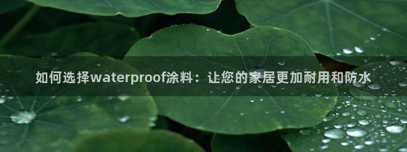 和记广告女主角：如何选择waterproof涂料：让您的家居更加耐用和防水