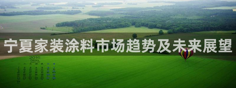 和记ag网址：宁夏家装涂料市场趋势及未来展望