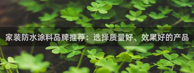 和记港口：家装防水涂料品牌推荐：选择质量好、效果好的产品
