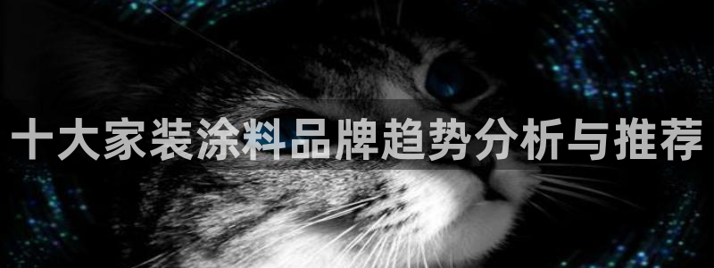和记官网 公司：十大家装涂料品牌趋势分析与推荐