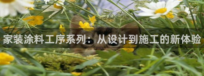 和记官方网址：家装涂料工序系列：从设计到施工的新体验