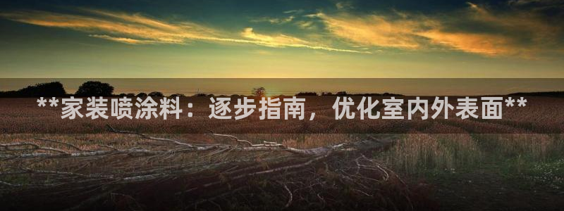 和记平台：**家装喷涂料：逐步指南，优化室内外表面**