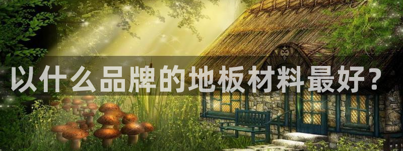 和记广告女主角：以什么品牌的地板材料最好？