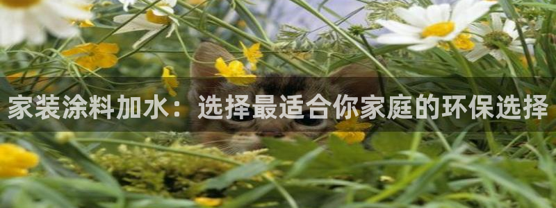 和记官网 公司：家装涂料加水：选择最适合你家庭的环保选择