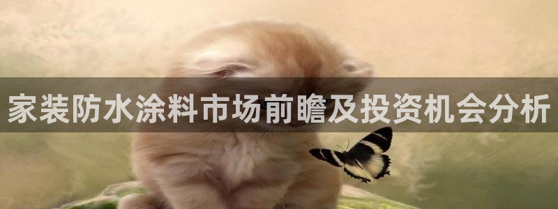 和记官方：家装防水涂料市场前瞻及投资机会分析