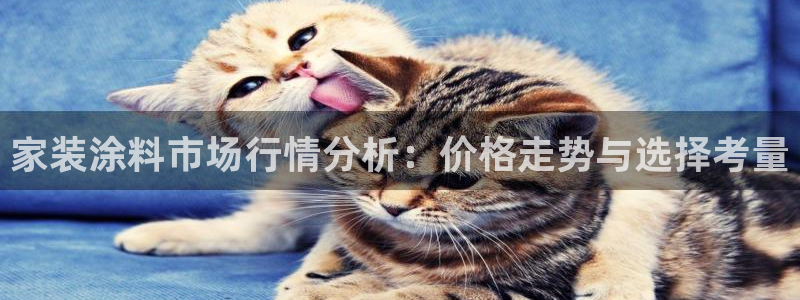 和记平台登录：家装涂料市场行情分析：价格走势与选择考量