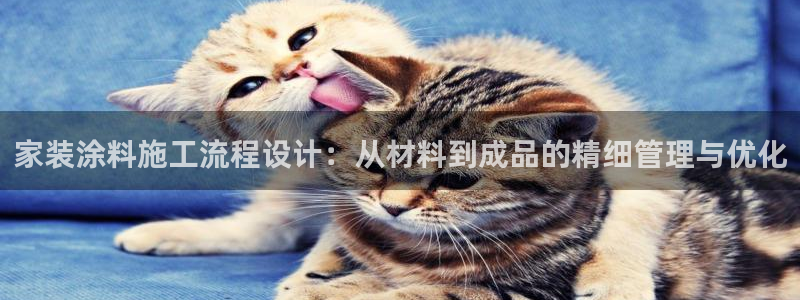 和记官网登陆：家装涂料施工流程设计：从材料到成品的精细管理与