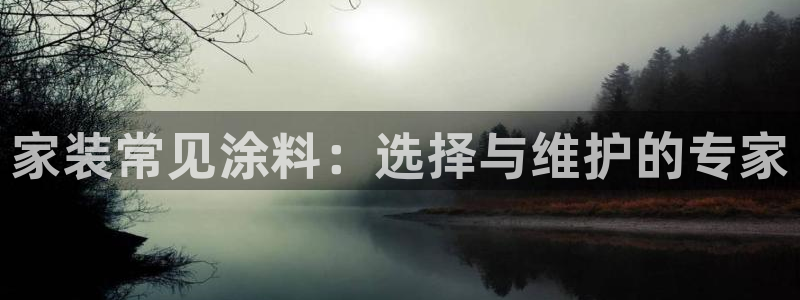 和记Ag：家装常见涂料：选择与维护的专家