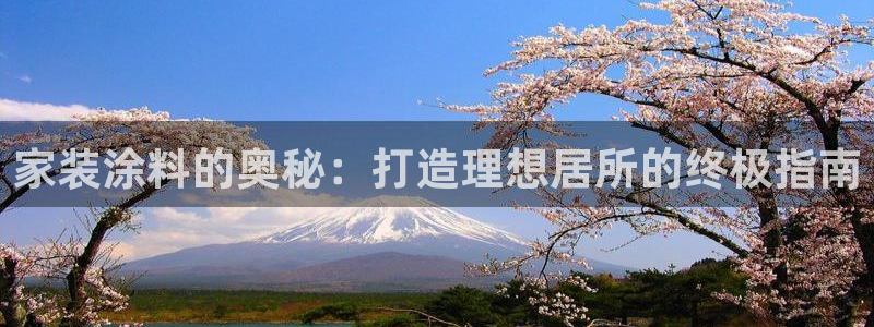 和记 中国首页：家装涂料的奥秘：打造理想居所的终极指南