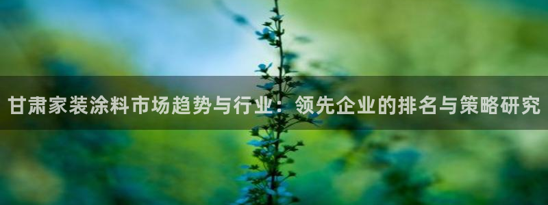 和记娱好网址：甘肃家装涂料市场趋势与行业：领先企业的排名与策略研究