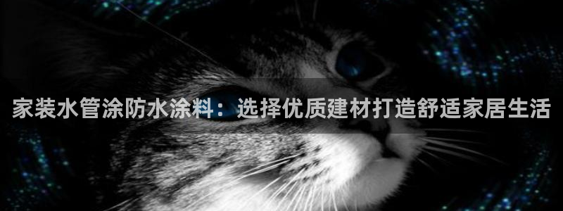 和记平台登陆：家装水管涂防水涂料：选择优质建材打造舒适家居生