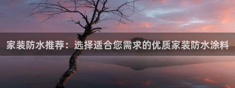 和记ag旗舰：家装防水推荐：选择适合您需求的优质家装防水涂料
