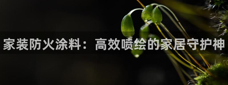 和记 官网：家装防火涂料：高效喷绘的家居守护神