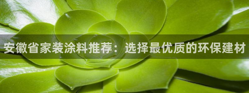 和记2017app：安徽省家装涂料推荐：选择最优质的环保建材