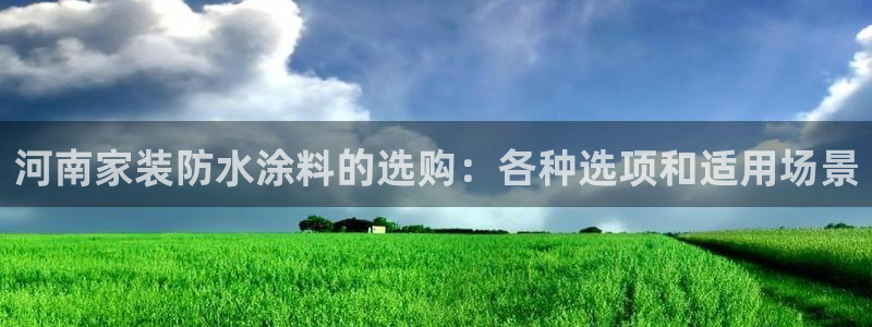和记H88：河南家装防水涂料的选购：各种选项和适用场景