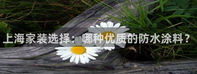 和记ag捕鱼害死多少人：上海家装选择：哪种优质的防水涂料？