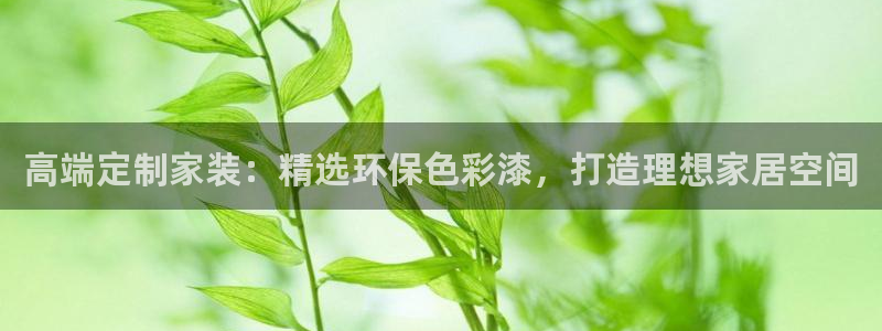 和记app官网