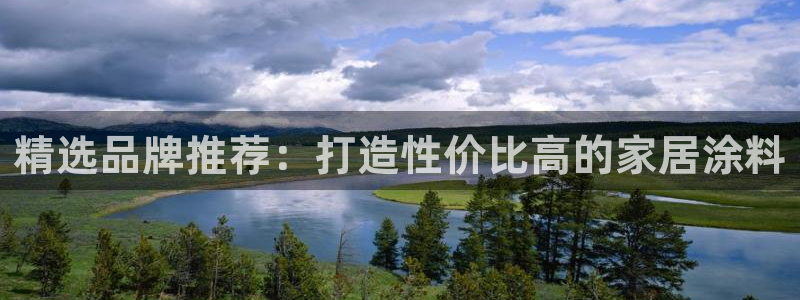 和记H88：精选品牌推荐：打造性价比高的家居涂料