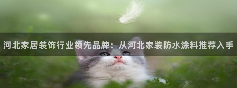 下载和记app：河北家居装饰行业领先品牌：从河北家装防水涂料