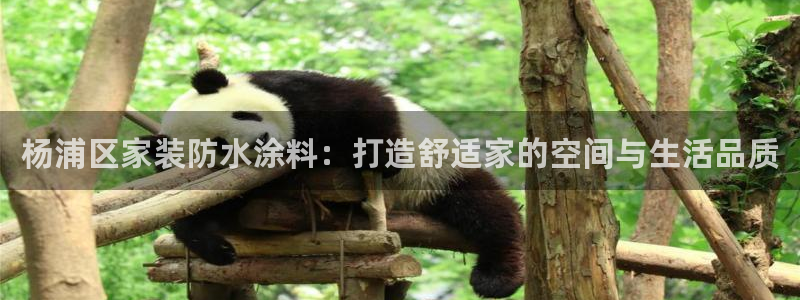 青岛大生和记餐饮管理有限公司：杨浦区家装防水涂料：打造舒适家的空间与生活品质