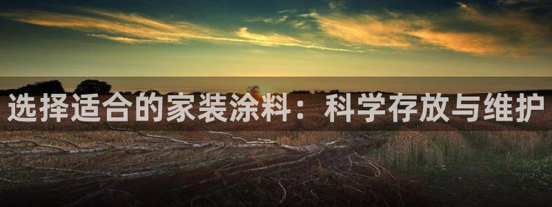 和记网页版登陆：选择适合的家装涂料：科学存放与维护