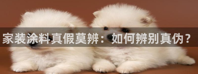 和记h88最新客户端下载：家装涂料真假莫辨：如何辨别真伪？