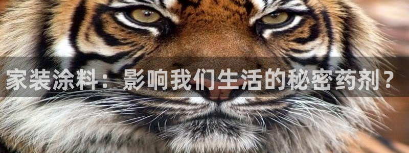 和记ag登录：家装涂料：影响我们生活的秘密药剂？