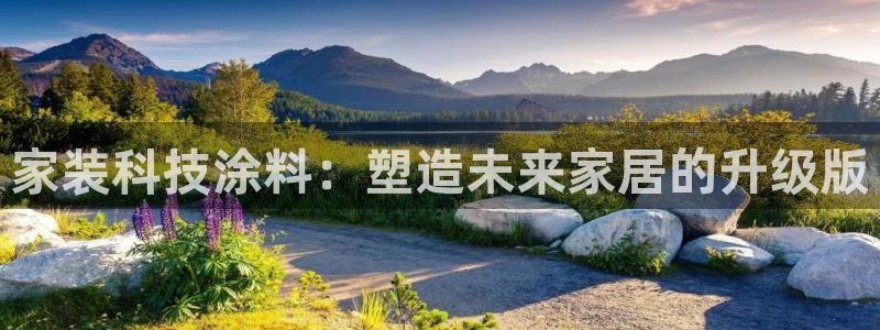 和记国际官网官网：家装科技涂料：塑造未来家居的升级版