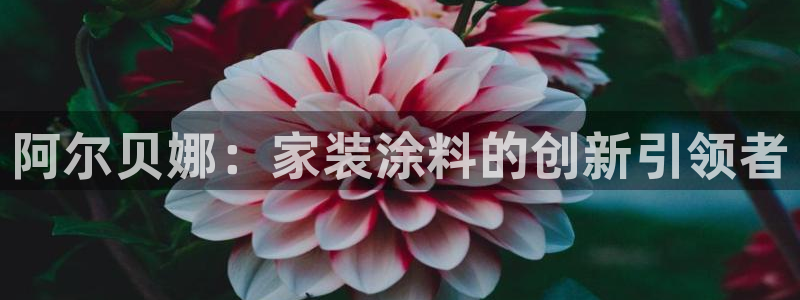 和记网页版