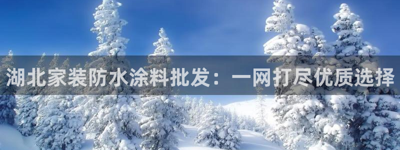 和记平台登录：湖北家装防水涂料批发：一网打尽优质选择