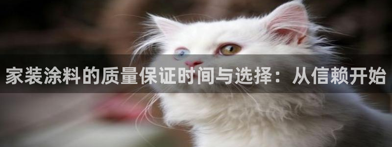和记ag旗舰国际：家装涂料的质量保证时间与选择：从信赖开始