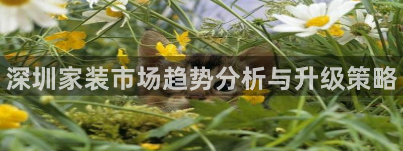 上海和记餐饮有限公司：深圳家装市场趋势分析与升级策略