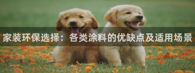 和记(福建)商贸有限公司招聘：家装环保选择：各类涂料的优缺点及适用场景