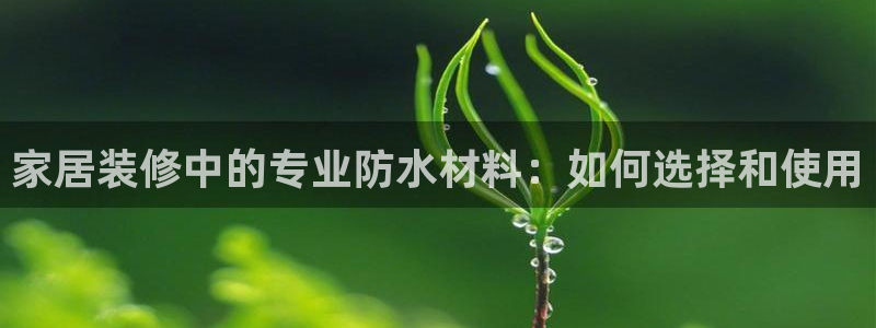 和记官方直营注册导航：家居装修中的专业防水材料：如何选择和使