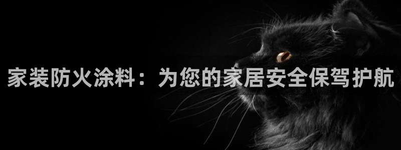 和记国际：家装防火涂料：为您的家居安全保驾护航