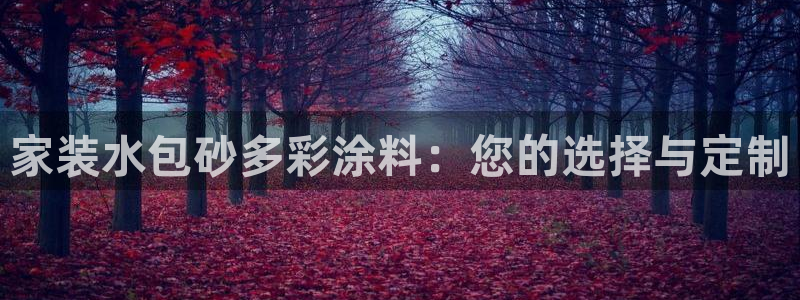 和记港口：家装水包砂多彩涂料：您的选择与定制