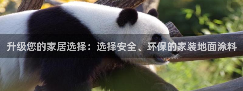 和记(福建)商贸有限公司：升级您的家居选择：选择安全、环保的家装地面涂料